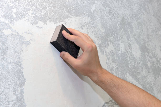 Best Crawl Space Mold Remediation  in West Carrollton, OH