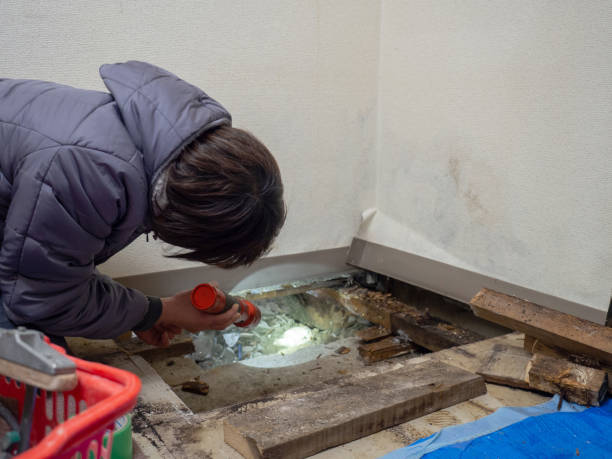 Best Residential Mold Inspection & Testing  in West Carrollton, OH