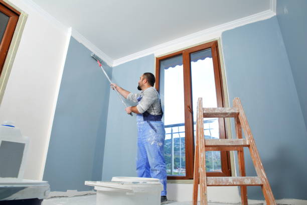  West Carrollton, OH Mold Removal Pros