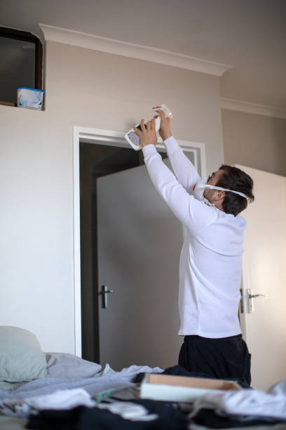 Best Basement Mold Removal  in West Carrollton, OH