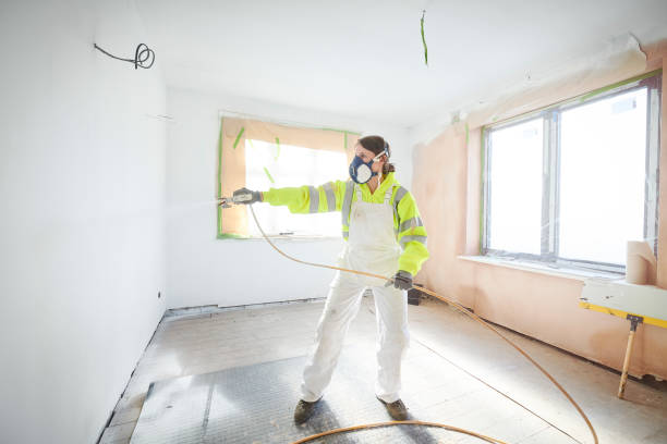 Best Mold Odor Removal Services  in West Carrollton, OH