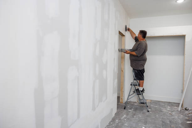 Best Mold Damage Restoration  in West Carrollton, OH