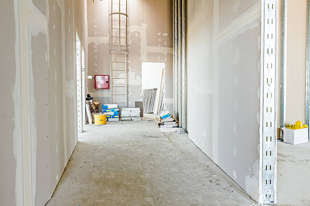 Best Environmental Consulting for Mold Prevention  in West Carrollton, OH