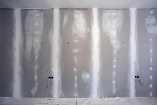 Best Mold Prevention Services  in West Carrollton, OH